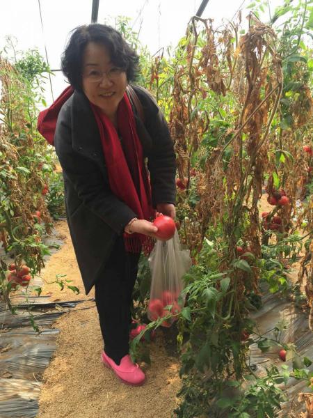 向阳生涯北京团队新春郊游团建，采摘甜美果实