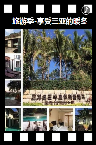 向阳生涯招聘：2015带你一起飞