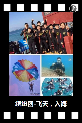 向阳生涯招聘：2015带你一起飞